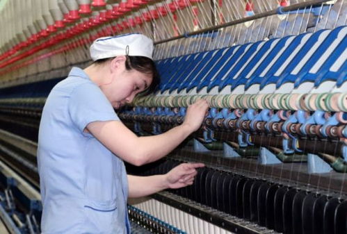 200噸變20噸 想濫竽充數結果產品堆積,現又想起我國的好