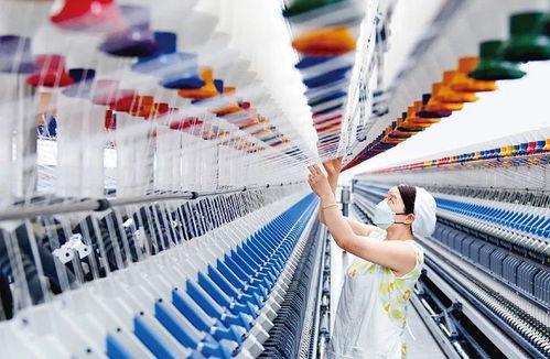 紡織業(yè) 中國(guó)經(jīng)濟(jì)新優(yōu)勢(shì)的隱形冠軍